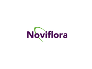 Noviflora