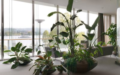 Interior plant design with continent-specific vegetation
