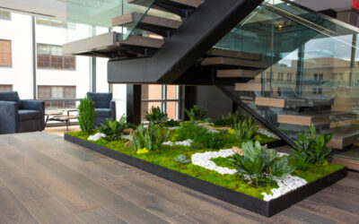 Biophilic Calm In the Office